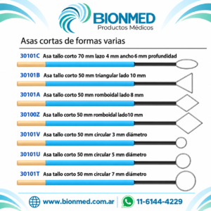 Asas Tallo Corto